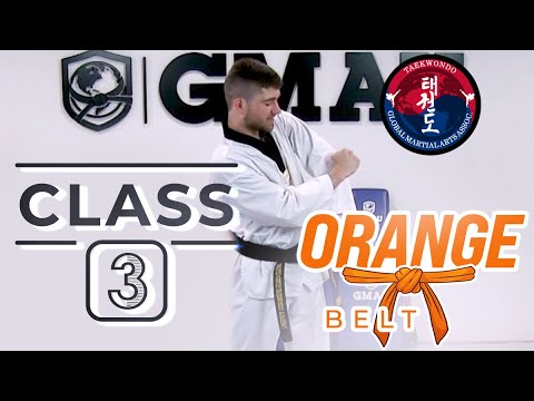 Taekwondo - Orange Belt - Class 3 thumbnail