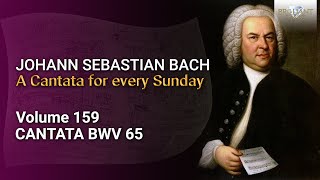 J.S. Bach: Sie werden aus Saba alle kommen, BWV 65 - The Church Cantatas, Vol. 159