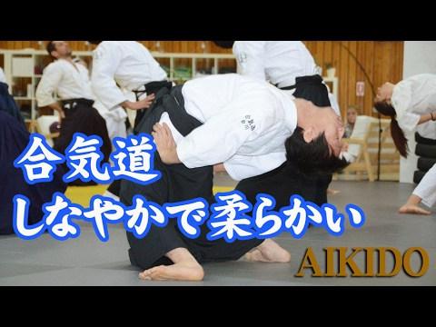 Aikido - Soft and dynamic body control