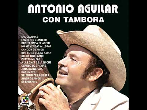 Busca otro Amor #ANTONIO AGUILAR