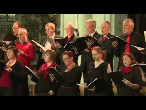 VISIONI ed ESTASI Wim Henderickx - Trailer 8'