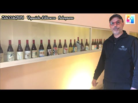 ZACCAGNINI l Vignaiolo d’Abruzzo   Bolognano