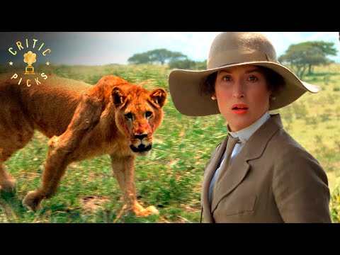 Denys Refuses To Shoot The Lioness | Out of Africa