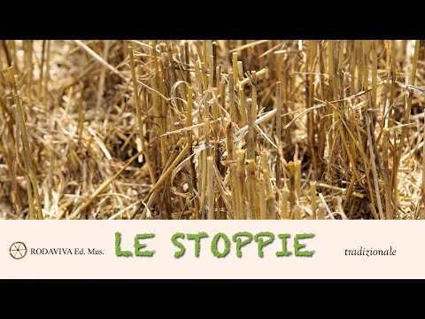 Voci Senza Frontiere - LE STOPPIE
