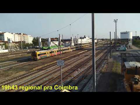 Comboios no Entroncamento - 29jun19 - Tarde