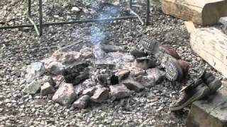 Ákos: A Lepkegyűjtő