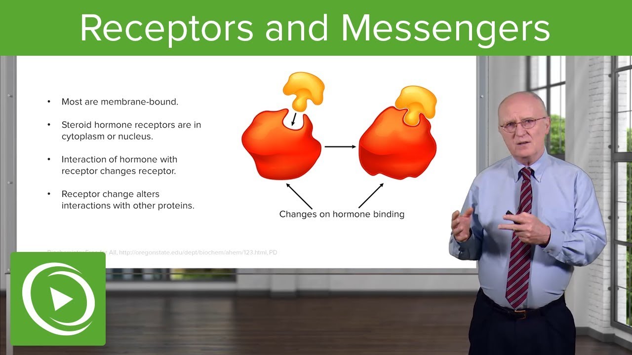 Receptors and Messengers – Biochemistry | Lecturio