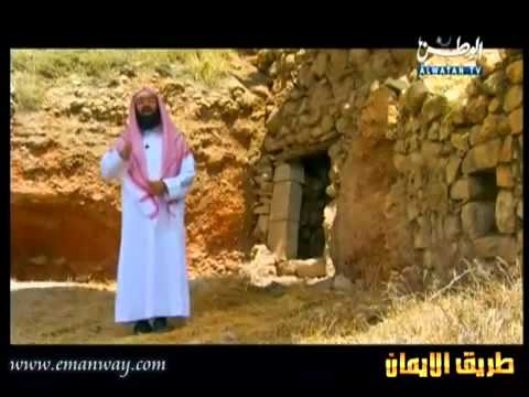 قصص الأنبياء _ نبي الله داوود عليه السلام و التوراة