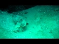 Bill Perry Landing Craft 