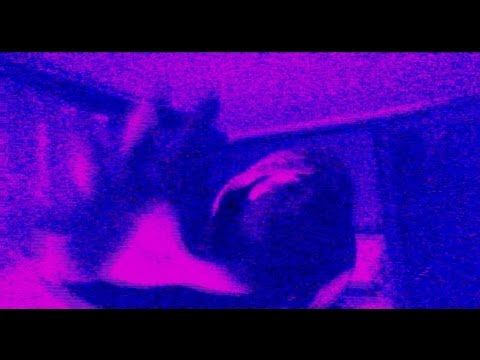 06. Meloman - Spaczona Krew