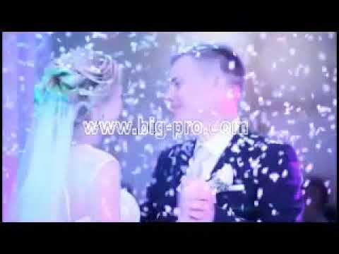 Генератор конфетти BIG BL011A 1500W