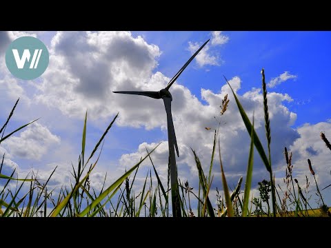 Die gefährdete Welt der Halligen | Deutschlands Küsten - Die Nordsee (4/10)