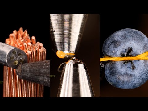 Soldering, Pens, Blueberry and More Close-Up
