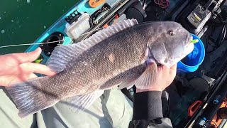 Outstanding Spring Fishing Part 1