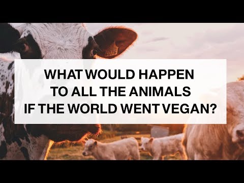 If the World Went Vegan, What Would Happen to the Animals?