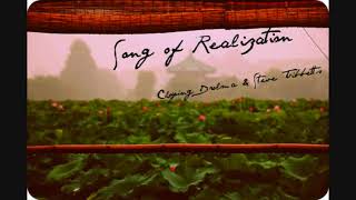 Song of Realization  by Choying Drolma &amp; Steve Tibbetts