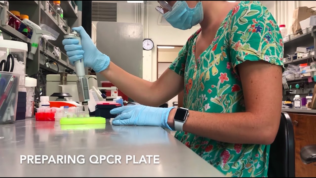 Bioengineer Jessica Griffiths (Get to Know a Scientist!)