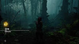シャドウオブトゥームレイダー　#3