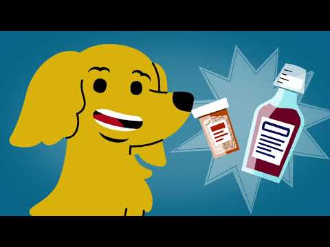 For Kids 8-12 Years Old:  Using and Keeping Medicine Safe