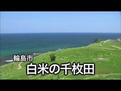 白米千枚田｜スポット｜【公式】石川県の観光/旅行サイト「ほっと石川旅ねっと」