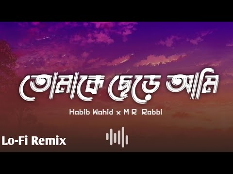 Tomake Chere Ami | Lo-Fi Remix | Habib Wahid | M R Rabbi.