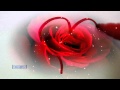 Happy Valentine's Day! - Martina McBride & Jim ...