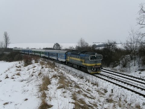 Brejlovci řady 754 Brankovice [2011]