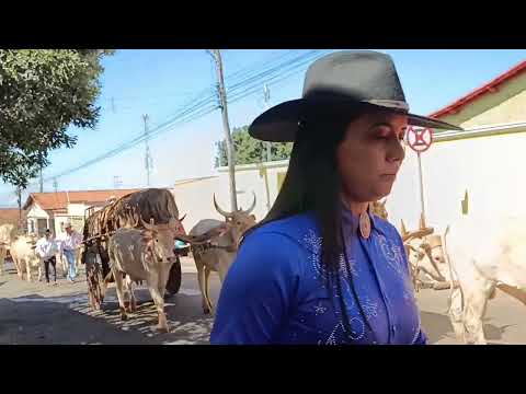 Desfile de carro de boi de ouro Verde Goiás