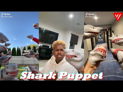 New Shark Puppet TikTok Videos 2021 | Funny The Shark Puppet TikTok Videos 2021