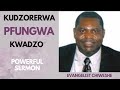 KUDZORERWA PFUNGWA KWADZO Evangelist Chiweshe Shona Sermon Part 1 Thesermonhub