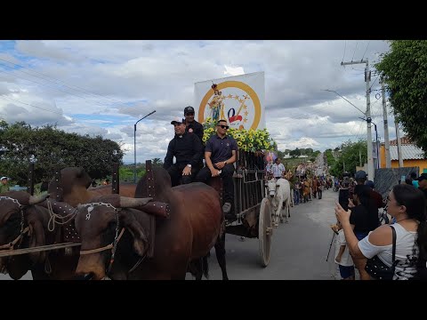 Festa do carro de boi  carriata 🐂🐏inhapi Alagoas 