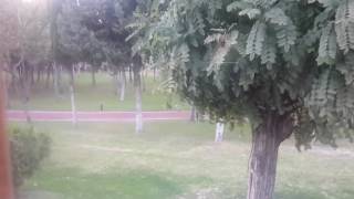 Manisa seyahate binerken