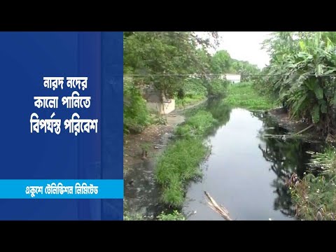 খরস্রোতা নারদ নদ এখন মৃতপ্রায়