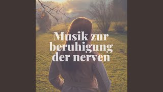 Musik zur beruhigung der nerven
