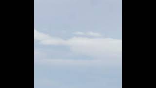 Cover art for chuuisinsane - Vivid