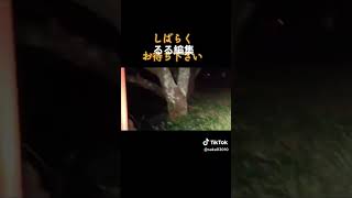 噂のうりプロ