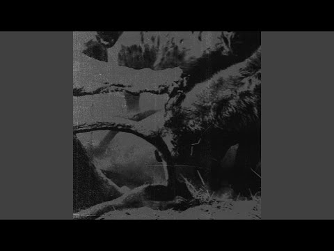 Orange County Acid 1 (Dep Affect Mix)