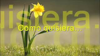 Entre el cielo y el infierno - Bronco