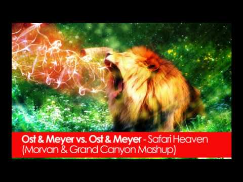Ost & Meyer vs. Ost & Meyer - Safari Heaven (Morvan & Grand Canyon Mashup)