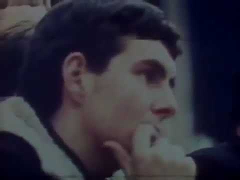 Copa de 66: Pelé é caçado por portugueses