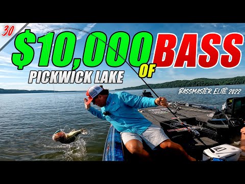 CRANKING Up $10,000 of BASS! - Bassmaster Elite Pickwick Lake 2022 (FINALS) - UFB S2 E30