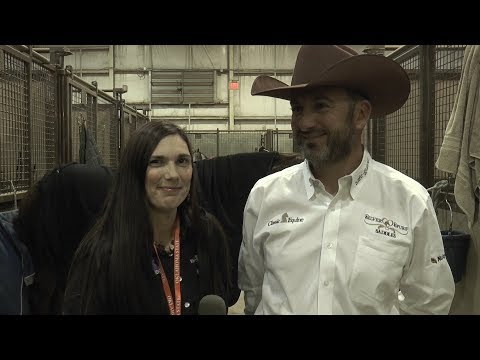 2017 AQHA World Show – Andrea Fappani – Sr Reining L3