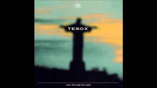 Tesox – Z3