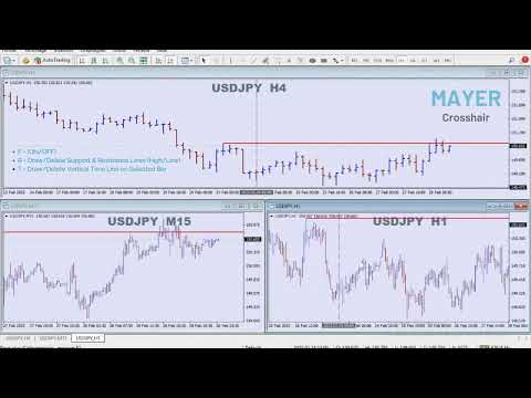 Video MAYER Crosshair