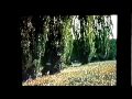 Mystery Mansion 1983 Clips Karen Renee