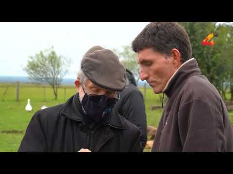 Instalación de línea de media tensión abastece a 200 hogares