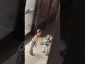 Toy Story Caught Moving Again Shorts