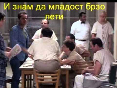 Кондоров лет - превод песме