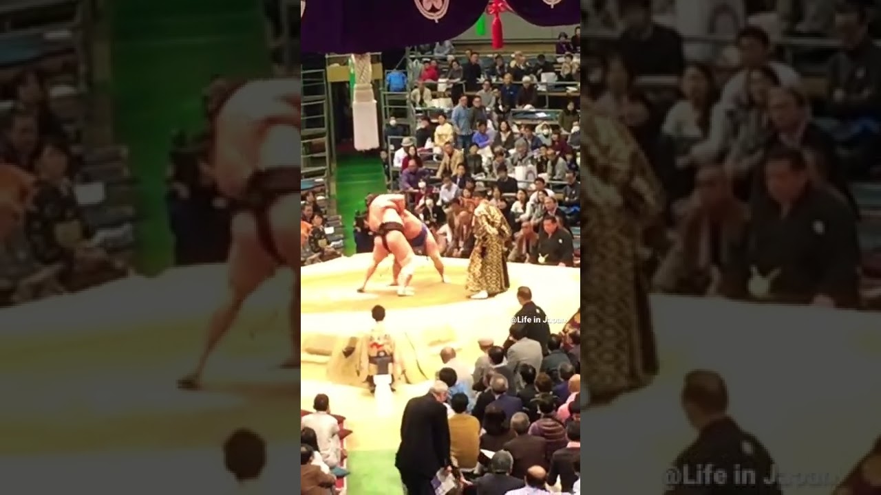 Have you ever been seen a sumo match#japan #japanese #sumo #japaneseculture
