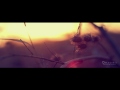 Short Clips Of Nature